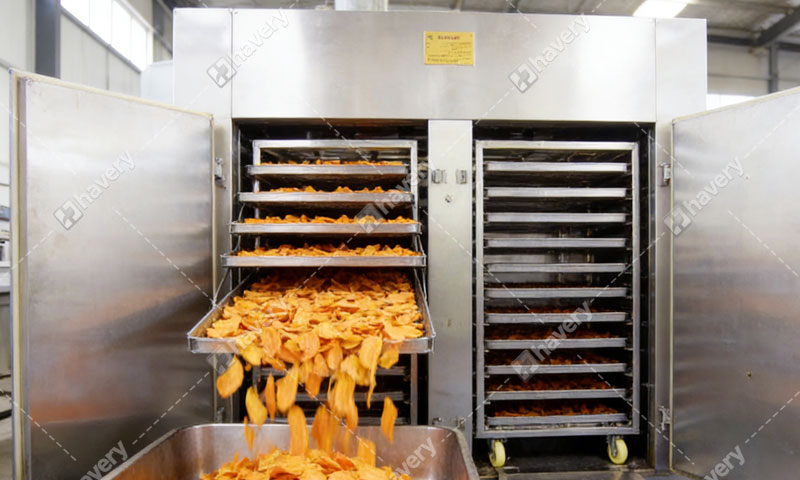 How To Dry Carrots In The Hot Air Oven Dryer?