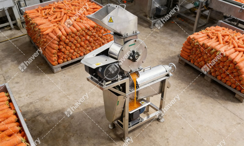 How To Make Carrot Juice Step By Step In Factory?