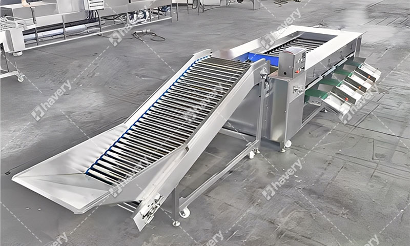 Carrot Grading Machine Price