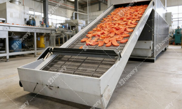 How Is Factory Dehydrating Carrot Chips? - Carrot processing
