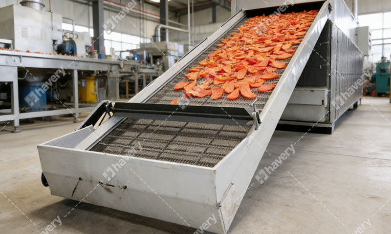 How Is Factory Dehydrating Carrot Chips?