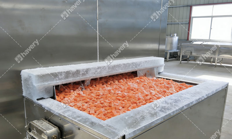 Carrot Cube Freezer Working Principle