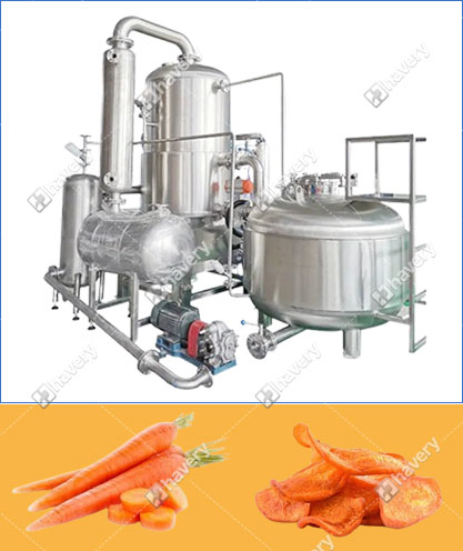 carrot chips vacuum fryer