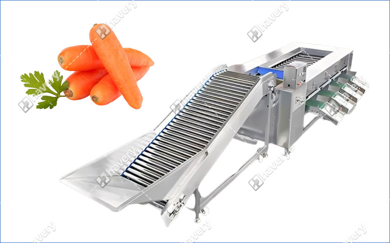 carrot grading machine