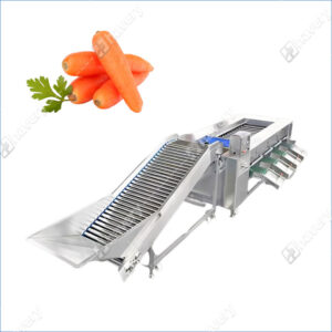 carrot grading machine