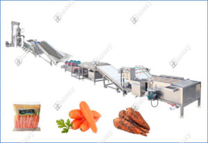 carrot washing grading packing line