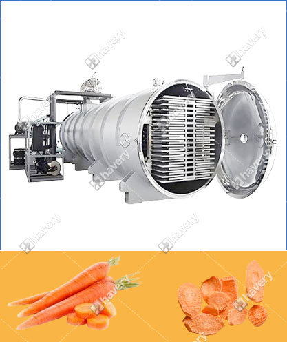 Carrot chips vacuum freeze dryer