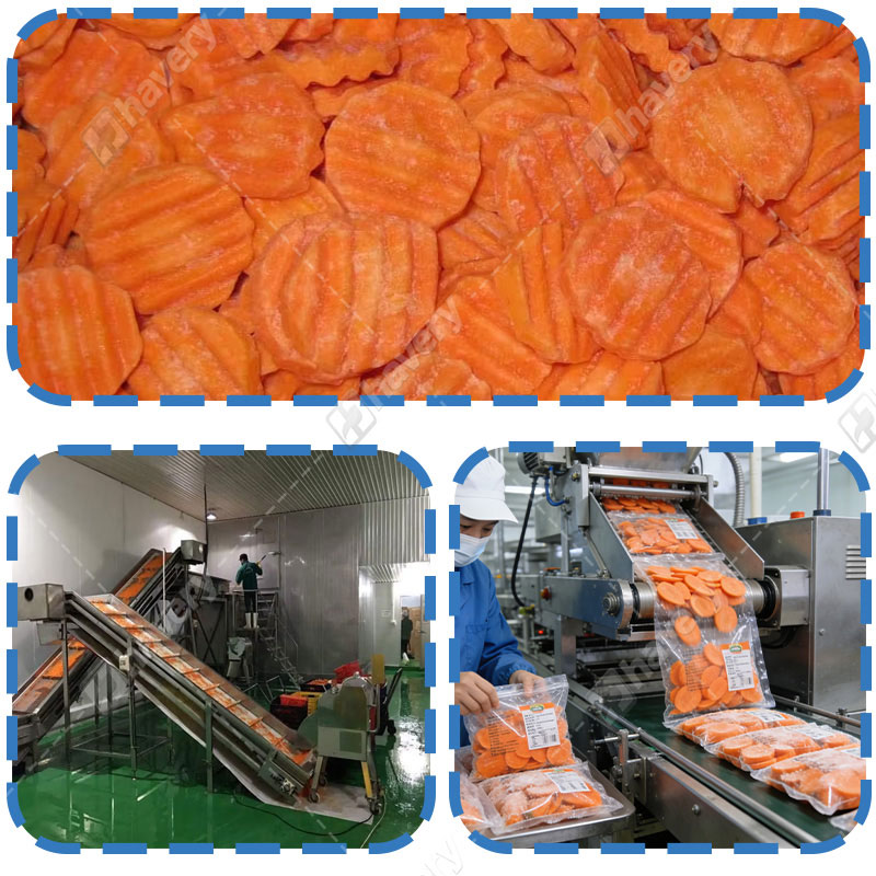 frozen carrot processign line details