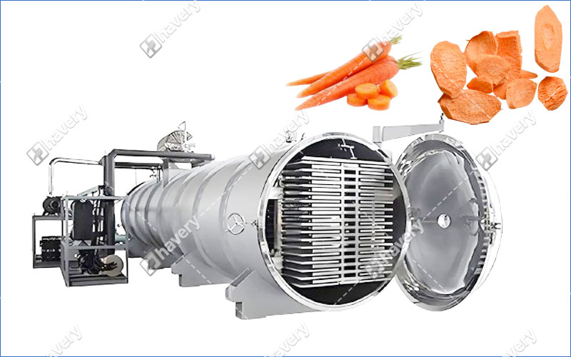vacuum freeze dryer machine